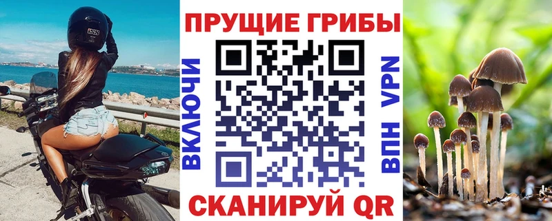 Псилоцибиновые грибы прущие грибы купить цена Гороховец