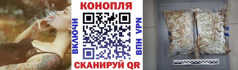 блэк спрут зеркало как найти наркотики площадка формула Каннабис индика Гороховец